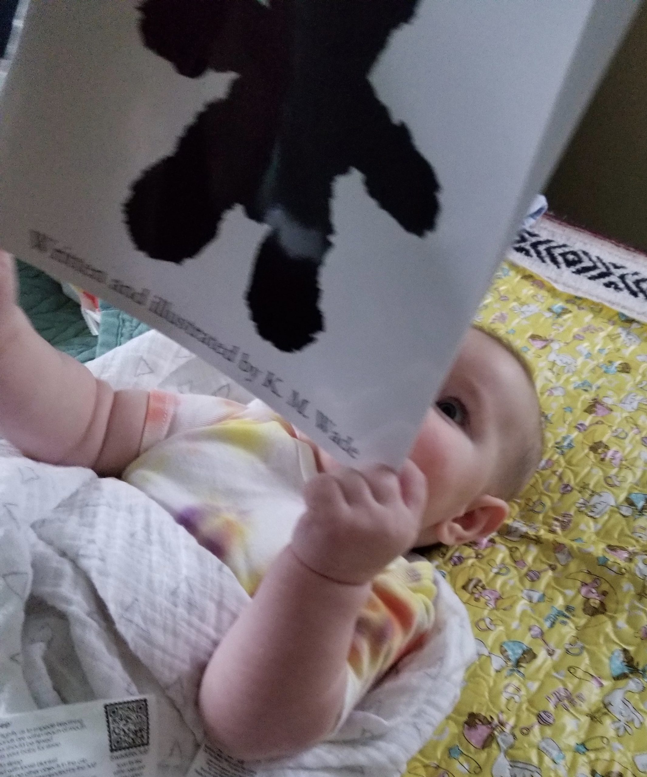 Black and white baby book for newborns: This 3-month-old loves the personalised black and white picture book for newborns ‘Where’s My Teddy?’. He’s holding it and gazing at it intently.