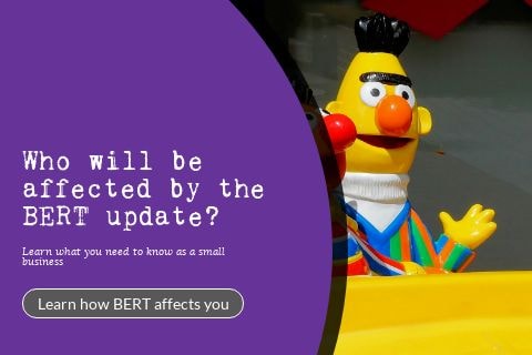 Featured image for ‘who will be affected by the BERT update?’
