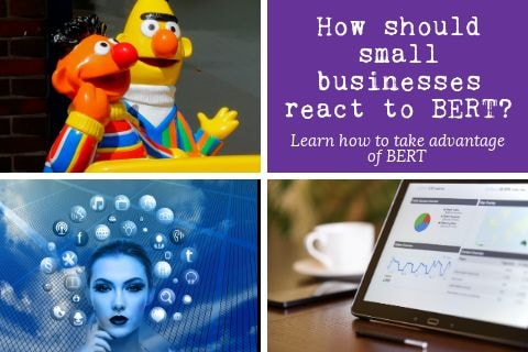 react to bert Featured image for ‘how should businesses react to BERT?’